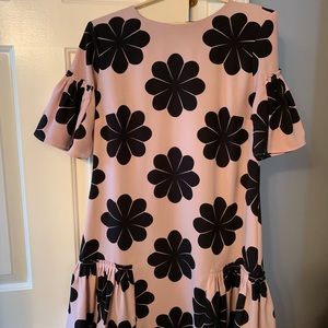Ann Taylor Dress